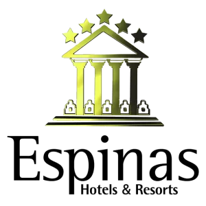 صفحه اصلی 20 هتل اسپیناس